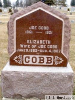 Joe Cobb