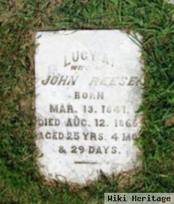 Lucy Ann Miller Reese