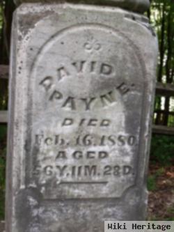 David Payne