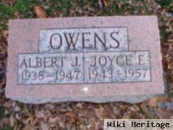 Joyce E. Owens