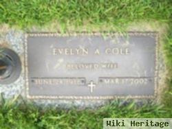 Evelyn Anna Mueller Cole