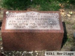 Jacob Shapiro