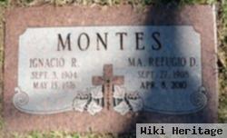 Ignacio Rodriguez Montes