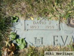 David J Evans