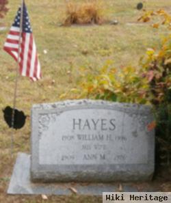 Ann M Hayes