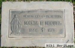 Maria De Freitas Fernandes Miguel