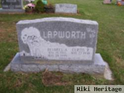 Curtis P. Lapworth