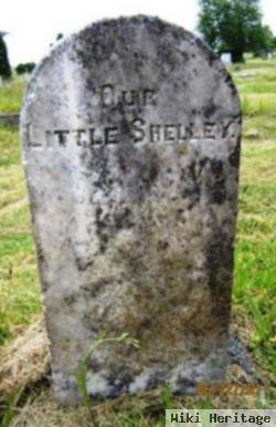 Shelley Seavey