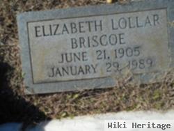 Mary Elizabeth Lollar Briscoe
