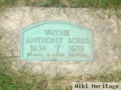 Wayne Anthony Bores