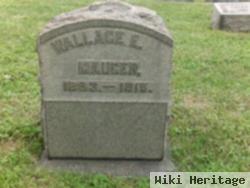 Wallace E. Mauger