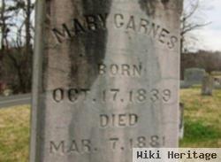 Mary Fox Carnes