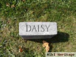 Daisy I Carson