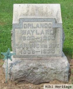 Sarah C. Oswandel Wayland