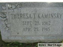 Theresa T Kaminsky