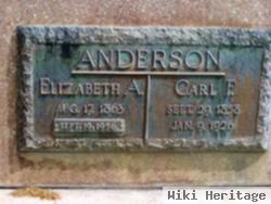 Carl Frederik Anderson