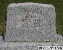 Mary E Evans