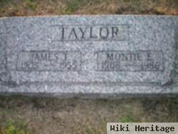 Montie E. Taylor