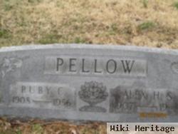 Alex H S Pellow