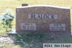 Mary Helen Franks Blalock