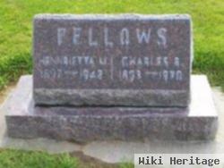 Charles B Fellows