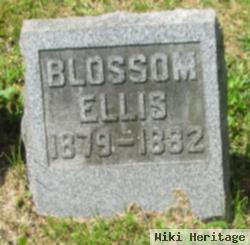 Blossom Ellis