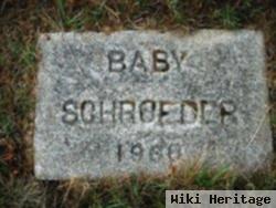 Baby Schroeder