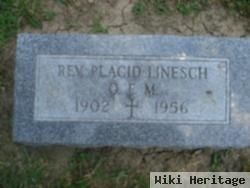 Rev Placid Linesch