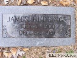 James Monroe Hudgings