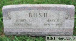 Luther S. Bush