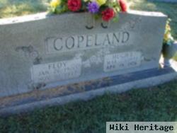 Hugh Lee Copeland