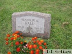 Wendelin Gall