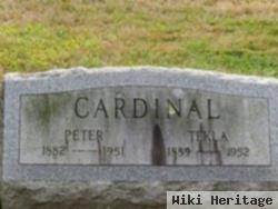 Peter Cardinal