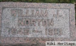 William J Norton