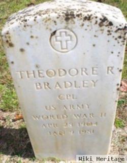 Theodore Roosevelt Bradley