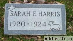 Sarah E Harris