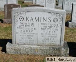 Sally A. Kamins