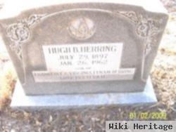 Hugh Brasey Herring