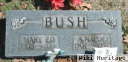 Mary Edwardia Bias Bush Jarrett