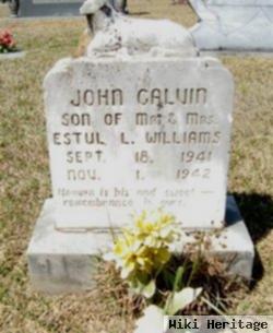 John Calvin Williams