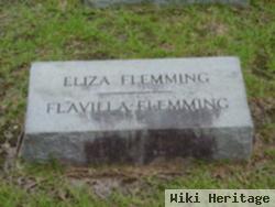 Eliza Jane Mcintosh Fleming