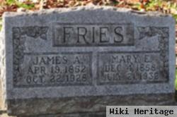 James A Fries