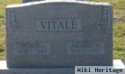 Mildred M Vitale