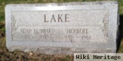 Herbert Lake