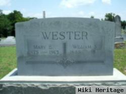 Mary Elizabeth "lizzie" Trevathan Wester