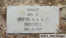 Infant Hatchell