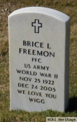 Brice L. Freemon