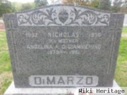 Nicholas Dimarzo