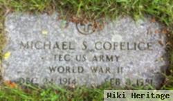 Michael S. Cofelice