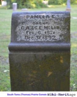 Pamela Ellen Mclin